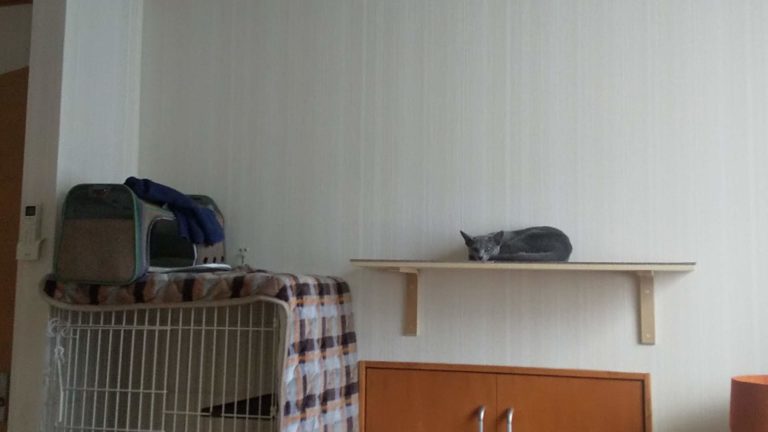 ワクチン接種に行ってきました