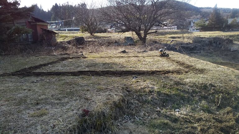 2021年・家庭菜園開始の様子
